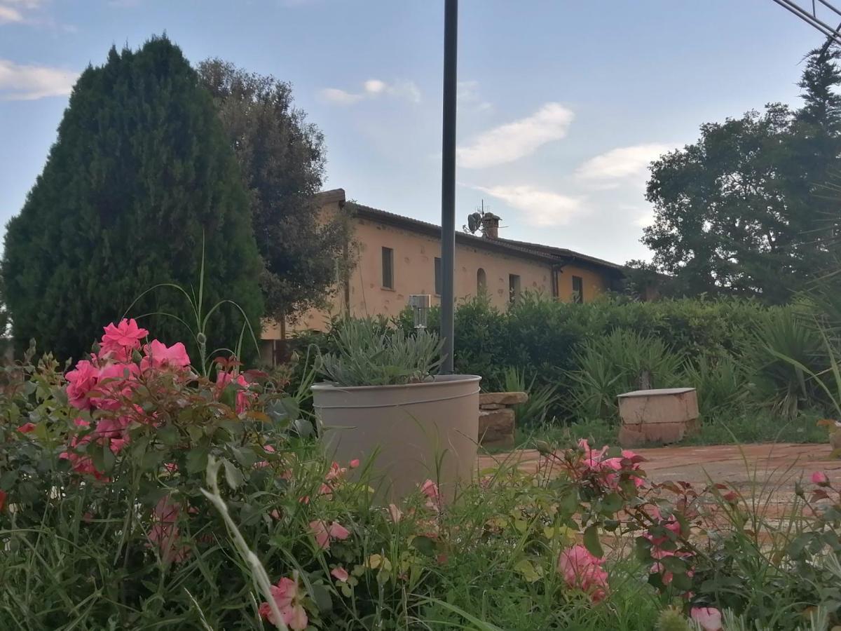 Vecchio Casale Quercetino - Il Forno Apartment Montenero d'Orcia Екстериор снимка